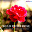 Wild Irish Rose - A Collection of Romantic Irish Favourites Albumcover