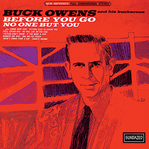 Before You Go / No One but You cover
