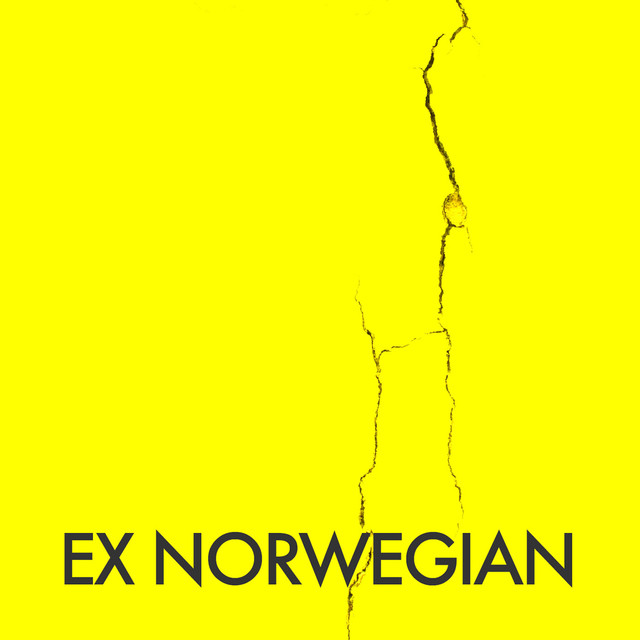 Crack cover