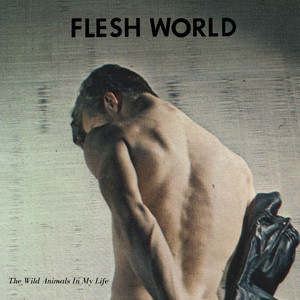Flesh World Photo