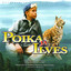 Poika Ja Ilves Albumcover