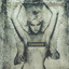White Bird cover