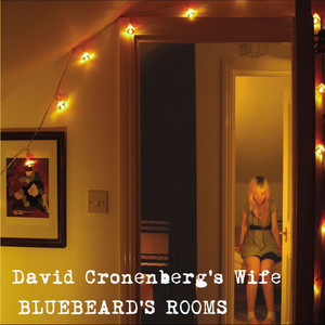 Bluebeard's Rooms cover
