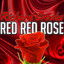 Red Red Rose cover