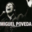 Flamenco cover