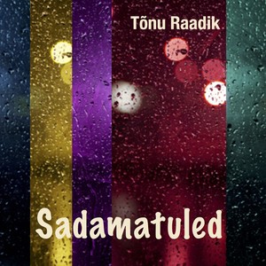 Sadamatuled. Tõnu Raadiku ballaadid Albumcover