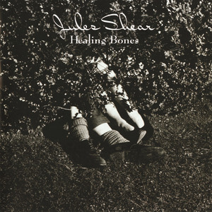 Healing Bones cover