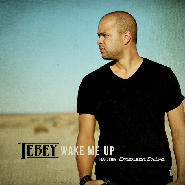 Wake Me Up cover