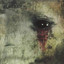 The Black Opal cover