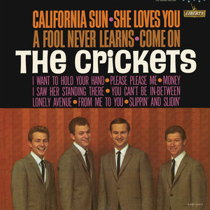 California Sun - She Loves You cover