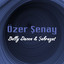 Belly Dance & Şehrazat Albumcover