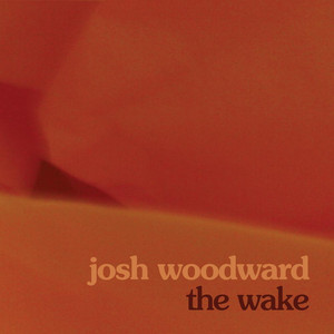 The Wake cover