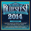 Bluesfest 2014 cover