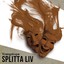 Splitta Liv Albumcover