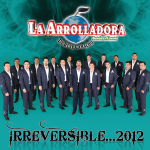 Irreversible... 2012 album