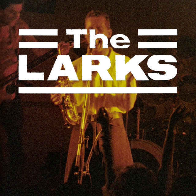 The Larks Live In Kingston cover