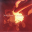 Why Should the Fire Die? cover