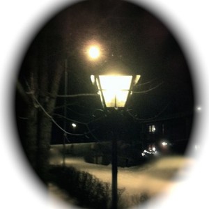 Fredrik Sj&ouml;stedt