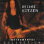 Richie Kotzen Instrumental Collection: The Shrapnel Years cover