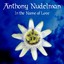 In the Name of Love Albumcover