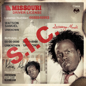 S.I.C. album