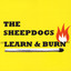 Learn & Burn cover