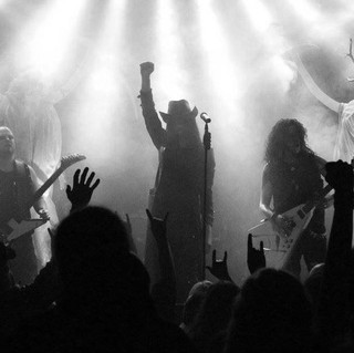 Netherbird Photo