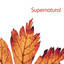 Supernatural Albumcover