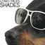 Shades Albumcover