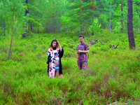 Wood Photo