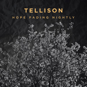 Hope Fading Nightly cover