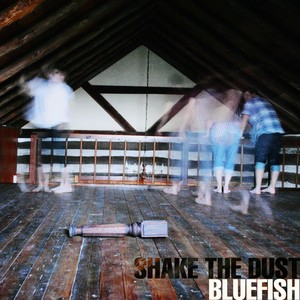 Bluefish