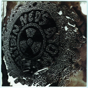 Brainbloodvolume cover