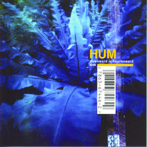 Downward Is Heavenward album