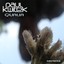 Qualia Albumcover