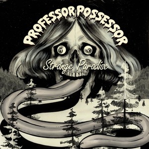 Professor Possessor