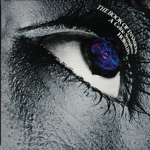 The Book of Invasions (Bonus Tracks Version) cover