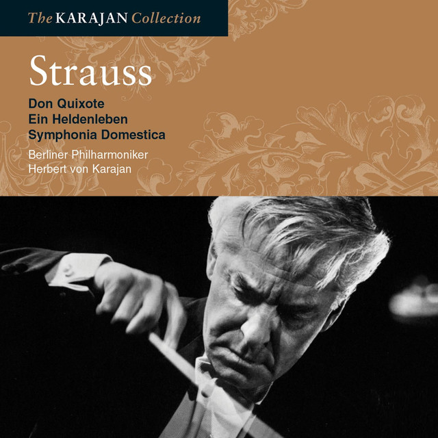Strauss: Don Quixote; Sinfonia Domestica; Ein Heldenleben Albumcover