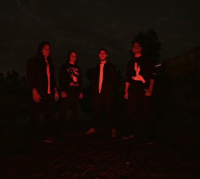 The Comes photo