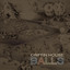 Balls cover