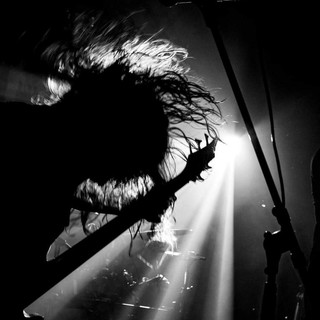 Saccage Photo