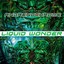 Liquid Wonder Albumcover
