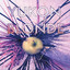 Yukon Blonde cover
