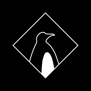 Destructive Penguins Photo