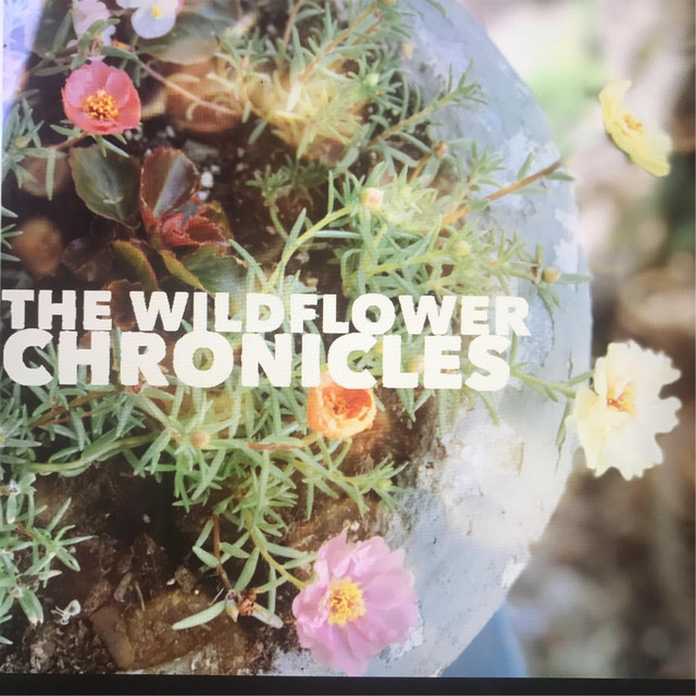 The Wildflower Photo