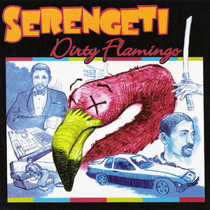 Dirty Flamingo cover