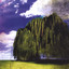 The Natural Order Of Things Albumcover