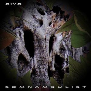 Somnambulist cover