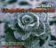 I Capuleti e i Montecchi Albumcover