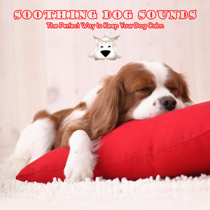 Soothing Dog Sounds